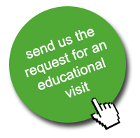 Send us the request for an educational visit