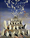 Dalí, a genius of the XX Century