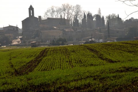 Visites guiades al Castell Gala Dalí de Púbol / Desembre