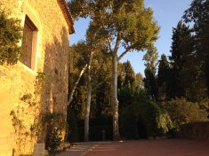 Spécial 11 et 12 de septembre: Visites guidées et introductions à la visite au Château Gala Dalí de Púbol (Prix entrée non inclus).