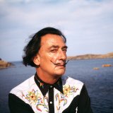 Dalí por Jan Adam Stevens