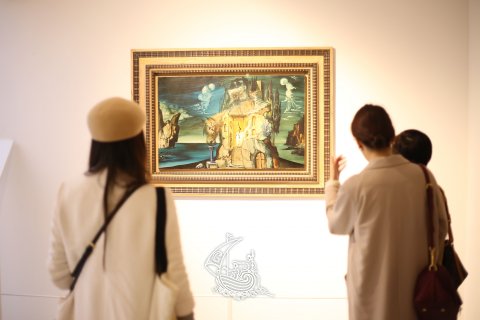 Exposición Media Dalí