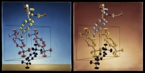 La estructura del ADN. Obra estereoscópica