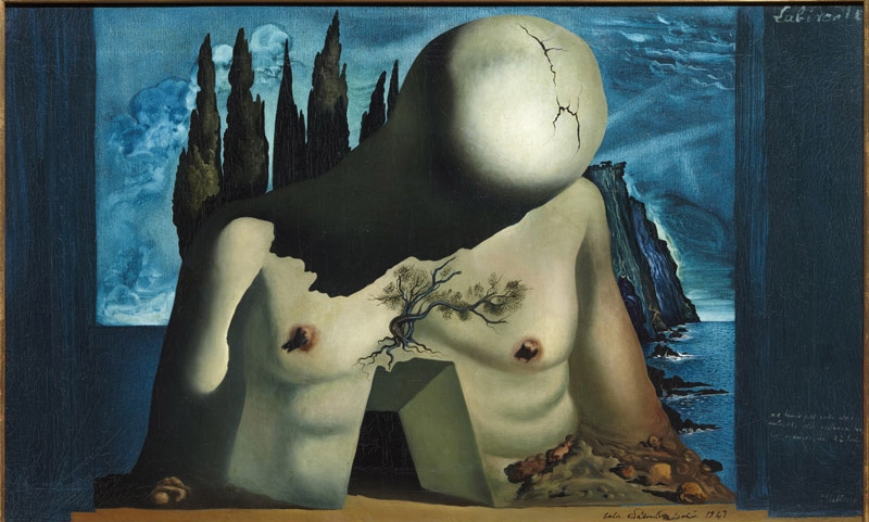 Proyecto para "Laberinto" | Fundació Gala - Salvador Dalí