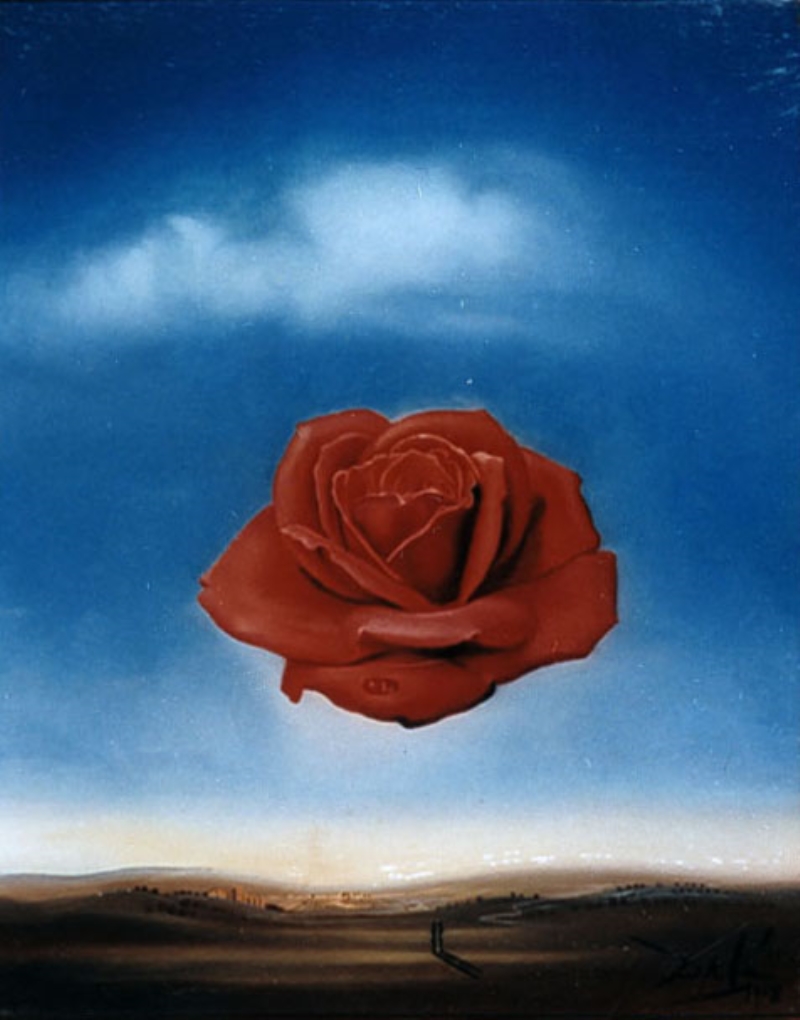 Meditative rose, 1958, 28×36 cm by Salvador Dali: History, Analysis & Facts