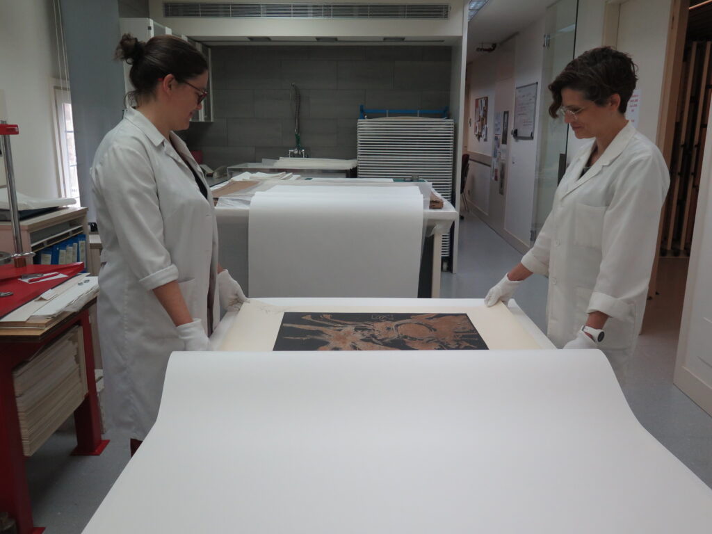 Ubicación de obra de formato medio en fundas de papel barrera