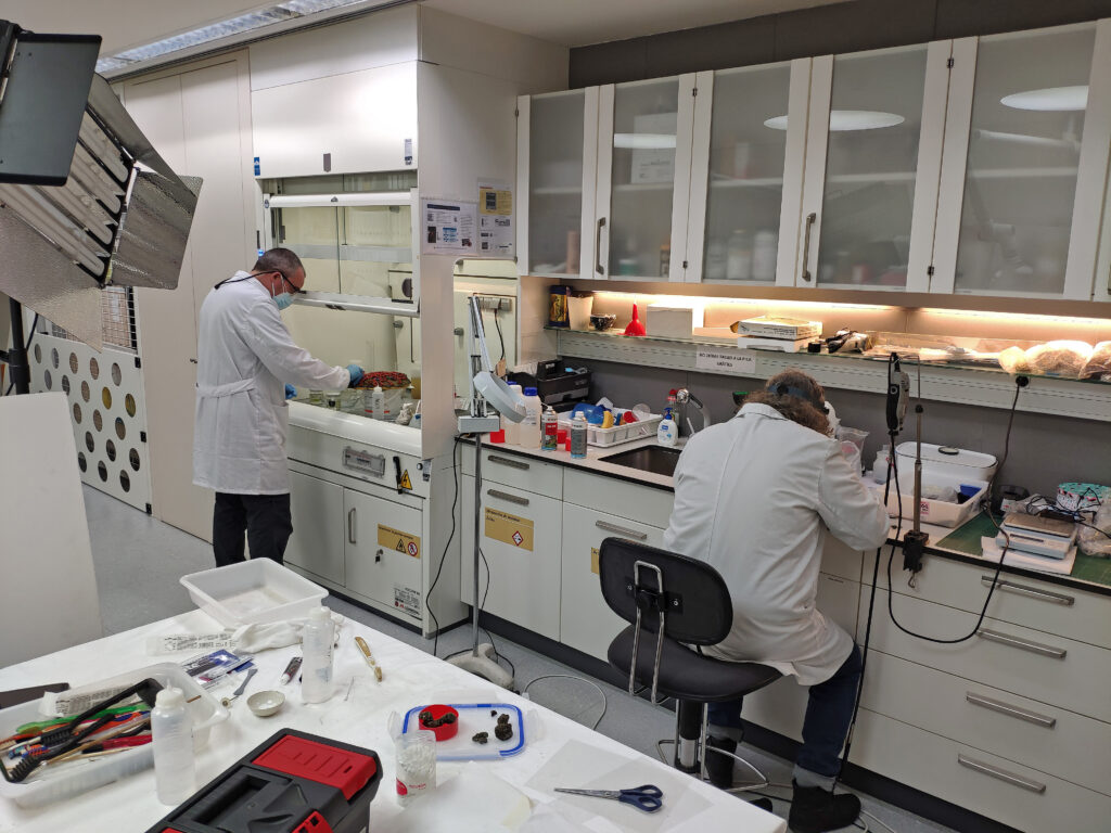 Proyecto de restauración de la joya con la colaboración de un equipo interdisciplinario